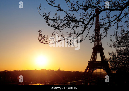 Silhouette della torre Eiffel, Parigi, Francia Foto Stock