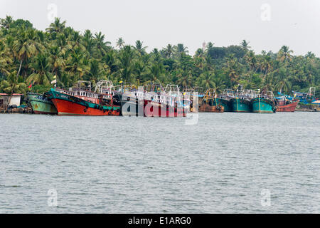 Tipico paesaggio di palme e barche da pesca, Kerala Backwaters, Alappuzha, Kerala, India Foto Stock