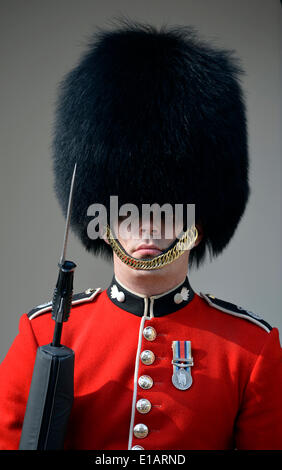 Regina della Guardia, Royal Guard con bearskin hat, Torre di Londra, London, England, Regno Unito Foto Stock