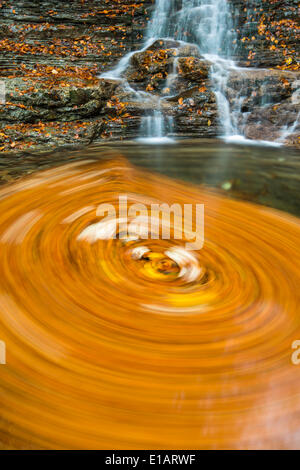 Foglie di vorticazione in un fiume Taugl ingresso, Hallein District, Salisburgo, Austria Foto Stock