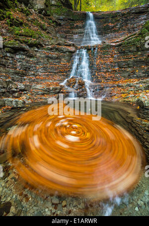 Foglie di vorticazione in un fiume Taugl ingresso, Hallein District, Salisburgo, Austria Foto Stock