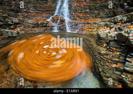 Foglie di vorticazione in un fiume Taugl ingresso, Hallein District, Salisburgo, Austria Foto Stock