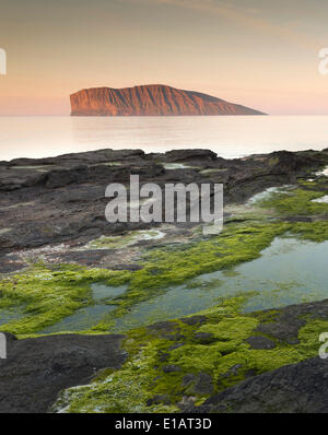 L'isola Fugloy nella luce del sole di mezzanotte, Viðoy, Isole Faerøer, Danimarca Foto Stock