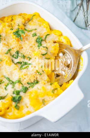 Una chiusura del cotto Butternut Maccheroni e formaggio Foto Stock