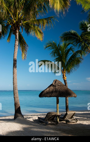 Le palme sulla spiaggia a Le Morne Brabant penisola sulla costa sud occidentale di Mauritius, l'Oceano Indiano Foto Stock