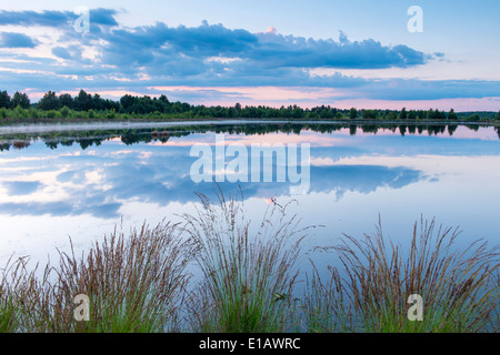 Goldenstedter moor, Bassa Sassonia, Germania Foto Stock