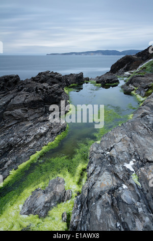 Immagine presa in costa della Galizia, regione nel nort-ovest della Spagna Foto Stock