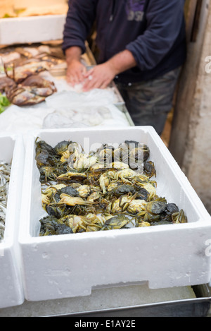 Scatola piena di granchi freschi a Venezia mercato del pesce Foto Stock