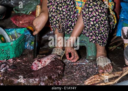 Povertà, pescatori, mercato della regola cambogiana, Estremo Oriente, persone che vivono luci di giorno, scarsa igiene, donne commercianti, riposo, Foto Stock