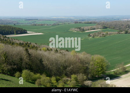 Campagna del West Berkshire e terreni agricoli dal downland vicino a Combe in una bella giornata primaverile Foto Stock