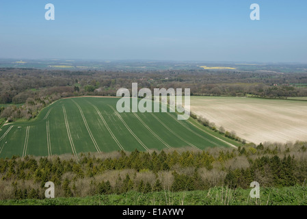 Campagna del West Berkshire e terreni agricoli dal downland vicino a Combe in una bella giornata primaverile Foto Stock