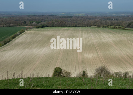 Campagna del West Berkshire e terreni agricoli dal downland vicino a Combe in una bella giornata primaverile Foto Stock