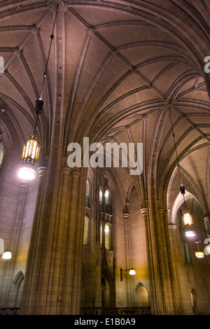 Cattedrale di apprendimento presso la University of Pittsburgh Foto Stock