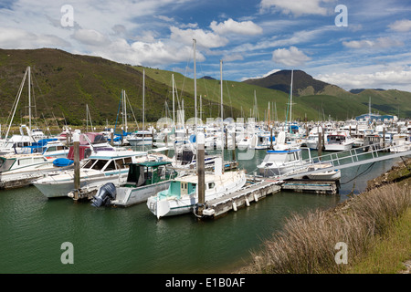 Havelock marina, Havelock, regione di Marlborough, Isola del Sud, Nuova Zelanda e Sud Pacifico Foto Stock