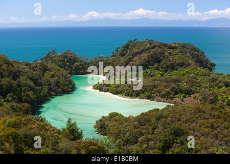 Francese della Bay, il Parco Nazionale Abel Tasman Nelson regione, Isola del Sud, Nuova Zelanda e Sud Pacifico Foto Stock