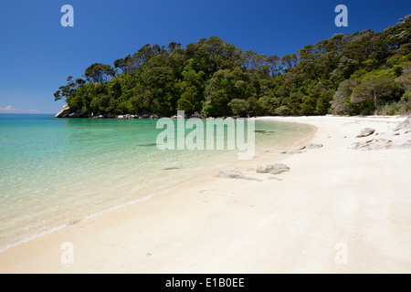 Francese della Bay Beach, il Parco Nazionale Abel Tasman Nelson regione, Isola del Sud, Nuova Zelanda e Sud Pacifico Foto Stock