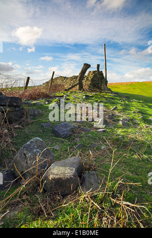 Sbriciolare muro di pietra su una collina esposta nel Galles del Sud. Foto Stock