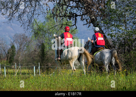 Endurance piloti durante la gara Foto Stock