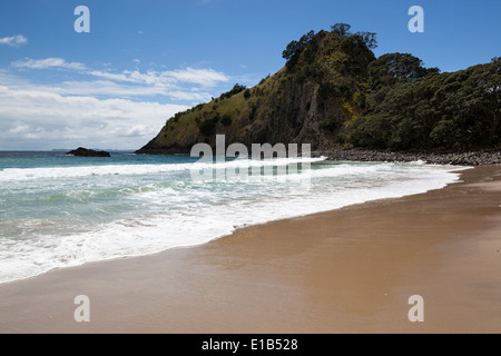 Nuova Spiaggia Chums e Wainuiototo Bay Foto Stock