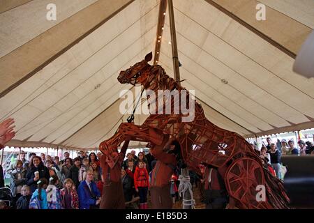 Hay on Wye, Wales, Regno Unito. Il 29 maggio 2014. Michael Morpurgo e puppet War Horse fanno la loro comparsa al Festival di fieno Credito: Anthony Collins/Alamy Live News Foto Stock