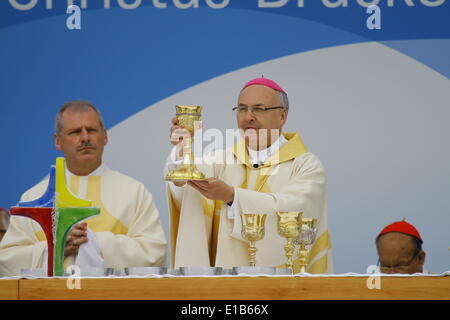 Regensburg, Germania. Il 29 maggio 2014. Migliaia di fedeli hanno celebrato l'aria aperta il giorno dell'Ascensione la messa il giorno due del 99th Katholikentag tedesco. Il celebrante principale è stato Rudolf Voderholzer, vescovo di Regensburg. Credito: Michael Debets/Alamy Live News Foto Stock