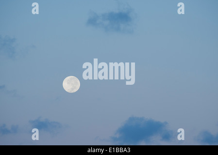 Australia, Territorio del Nord, Darwin. Luna piena, il sorgere della luna con l'azzurro del cielo. Foto Stock