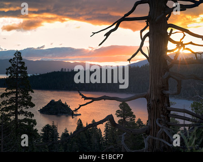 Alba sul Emerald Bay con albero morto e Fannette Island, il lago Tahoe, California. Foto Stock