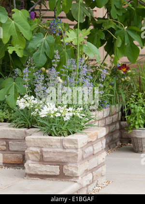 RHS Tatton Park flower show 2013 Foto Stock