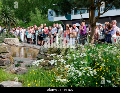 I visitatori di RHS Chelsea Flower Show 2014 nei dintorni di Alan Titchmarsh del giardino della Bretagna in fiore. London REGNO UNITO Foto Stock