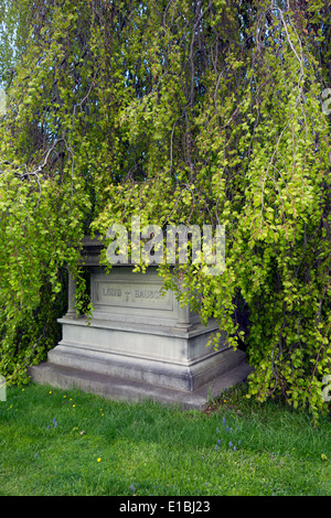 Lomb-Bausch grave in Mount Hope cemetery Rochester NY Foto Stock