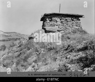 Il sondaggio del Giglio di trota nana, condotto il 14 aprile 2010, si concentrò sul monitoraggio di questa specie in pericolo in Minnesota. L'indagine sostiene la conservazione delle specie vegetali rare e dei loro habitat ai sensi dell'Endangered Species Act. Foto Stock
