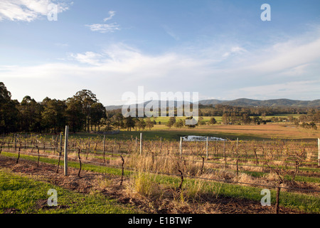 Lo stile di vita del paese, Forster. A metà costa nord, NSW, Australia Foto Stock