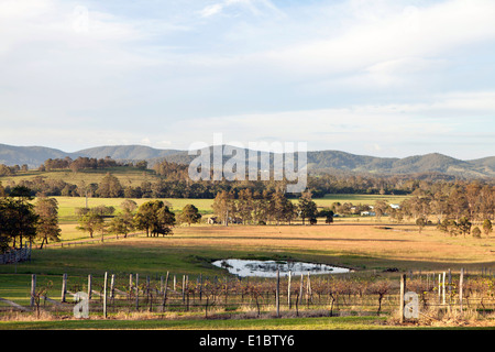 Lo stile di vita del paese, Forster. A metà costa nord, NSW, Australia Foto Stock