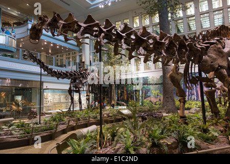 Carnegie Museum di storia naturale di Pittsburgh PA Foto Stock