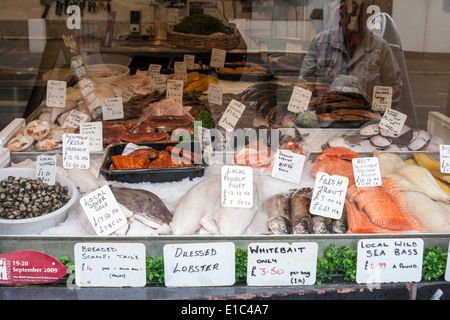 Pesce fresco locale pescivendolo negozio finestra display, Hastings, Sussex England, GB, Regno Unito
