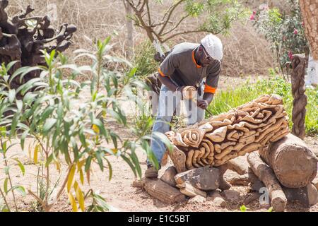 Dakar, Senegal. Xxiv Maggio, 2014. Un artista lavora sul suo intaglio del legno a Ile de Goree a Dakar, capitale del Senegal, 24 maggio 2014. L'undicesima edizione dell'arte contemporanea africana biennale, Dak nell'arte, si terrà in Senegal dal 9 maggio al 8 giugno. Dakar si trova sulla penisola di Cap-Vert sulla costa atlantica. La sua posizione, sul bordo occidentale dell'Africa, è un vantaggio per l'integrazione di arte contemporanea africana nel mercato internazionale dell'arte. © Li Jing/Xinhua/Alamy Live News Foto Stock