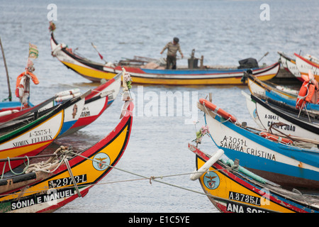 Moliceiros tradizionali barche da pesca con alta prows, dipinte in colori vivaci, ormeggiata offshore Torreira a. Foto Stock