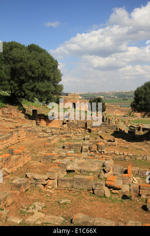 Chellah è una necropoli e complesso di antico romano e le rovine medievali nella periferia di Rabat, Marocco. Foto Stock