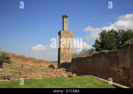 Chellah è una necropoli e complesso di antico romano e le rovine medievali nella periferia di Rabat, Marocco. Foto Stock