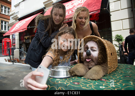 Street performer agisce come un divertente cane in un cestello, mentre le ragazze prendere un selfie. Il Covent Garden nel West End di Londra, Regno Unito. Foto Stock