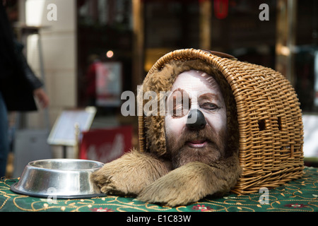 Street performer agisce come un divertente cane in un cestello. Il Covent Garden nel West End di Londra, Regno Unito. Foto Stock