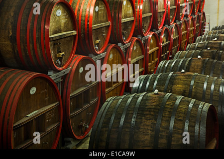 Botti di rovere a Brouwerij Boon, birreria belga a Lembeek vicino a Bruxelles, produttore di Geuze e Kriek birra Foto Stock