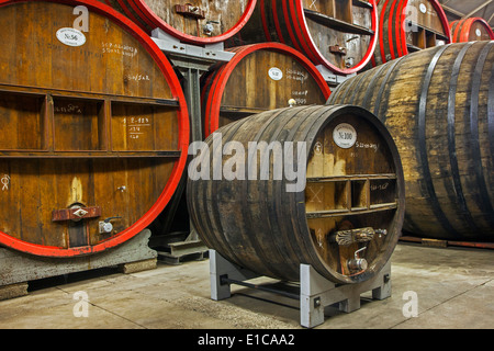 Botti di rovere a Brouwerij Boon, birreria belga a Lembeek vicino a Bruxelles, produttore di Geuze e Kriek birra Foto Stock