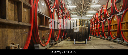 Botti di rovere a Brouwerij Boon, birreria belga a Lembeek vicino a Bruxelles, produttore di Geuze e Kriek birra Foto Stock