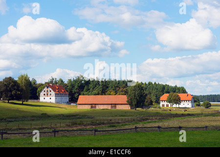 L'Europa, Polonia, di Warmia e Masuria - Olsztynek, Museo di architettura popolare Foto Stock