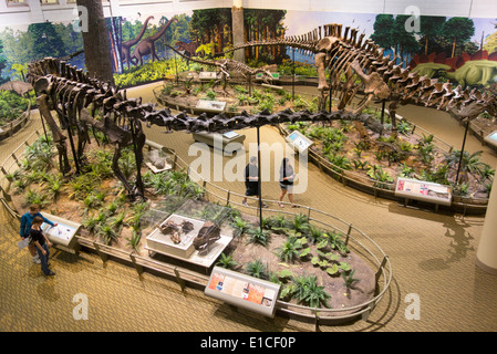 Carnegie Museum di storia naturale di Pittsburgh PA Foto Stock