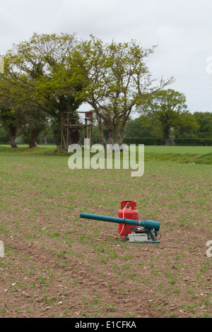 Bird Scarer. Pistola a gas della batteria orologio tempo azionato dispositivo utilizzato per ridurre depredazioni da pest specie di uccelli su colture. Foto Stock