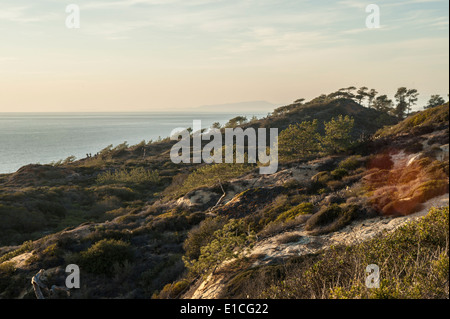 Scogliere e tramonto sull'Oceano Pacifico a Torrey Pines State Park, La Jolla California Foto Stock