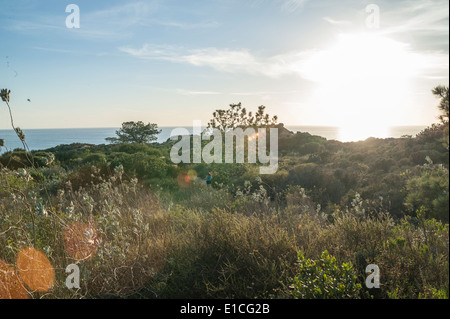 Scogliere e tramonto sull'Oceano Pacifico a Torrey Pines State Park, La Jolla California Foto Stock