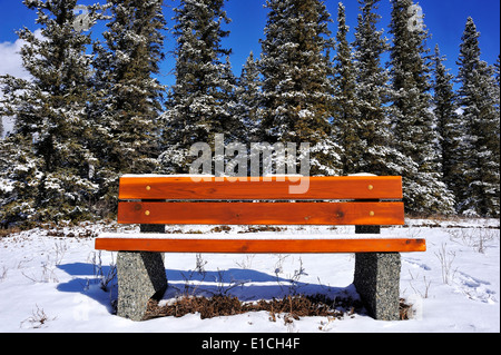Un inverno immagine di una panca in legno su una soleggiata collina Foto Stock